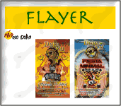 Impresion flayer